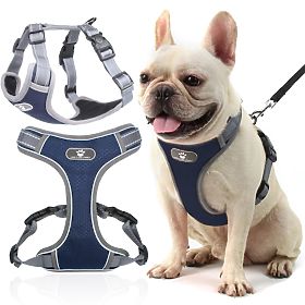 ASTRO Blue Dog Training Harness Size M