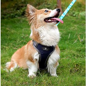 ASTRO Blue Dog Training Harness Size M