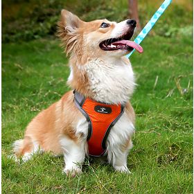 ASTRO Dog Training Harness Orange Size S