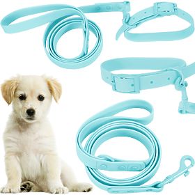 Dog Leash and Collar PJ-070 Blue S, PuppyJoy