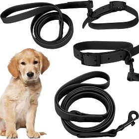 Dog Leash and Collar PJ-071 Black M, PuppyJoy