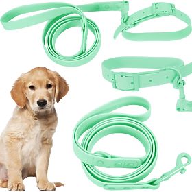 Dog Leash and Collar PJ-073 Green M, PuppyJoy