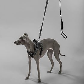 Dog Leash and Harness PJ-055 Black M, PuppyJoy