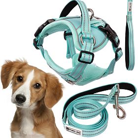 Dog Leash and Harness PJ-057 Green M, PuppyJoy