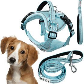 Dog Leash and Harness PJ-058 Blue M, PuppyJoy