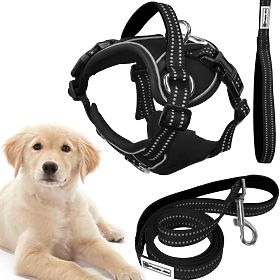 Dog Leash and Harness PJ-059 Black L