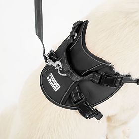 Dog Leash and Harness PJ-059 Black L