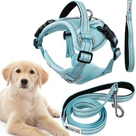 Dog Leash and Harness PJ-062 Blue L, PuppyJoy