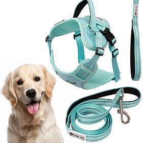 Dog Leash and Harness PJ-065 Green XL, PuppyJoy