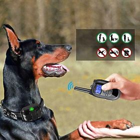 ELECTRIC TRAINING COLLAR FOR DOG pj-098