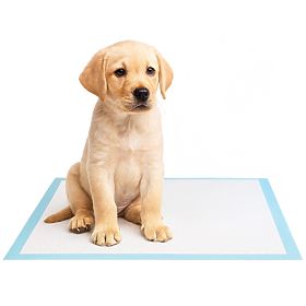 Hygienic Pads for Animals BARRY 50 pcs