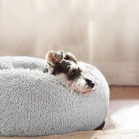 LIGHT GRAY PET BED PJ-013 M, PuppyJoy