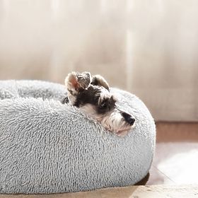 PET BED FOR DOGS AND CATS PJ-014 LIGHT GRAY L