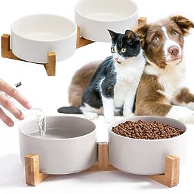 PET FOOD AND WATER BOWL WHITE 331579, Tutumi