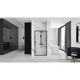 Rapid Swing 80 Shower Door, Rea
