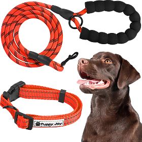 Reflective Dog Leash and Collar PJ-035 Red, PuppyJoy