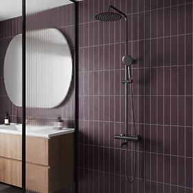 Shower Set with Thermostat Rea Lungo Titan