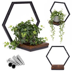 Wall-mounted Flower Pot Hanging Shelf for Plants Loft Decoration Hexagon ModernHome